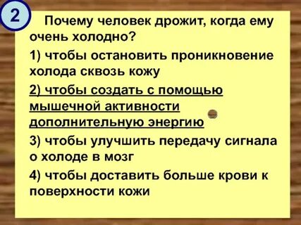 Почему дрожит нижняя