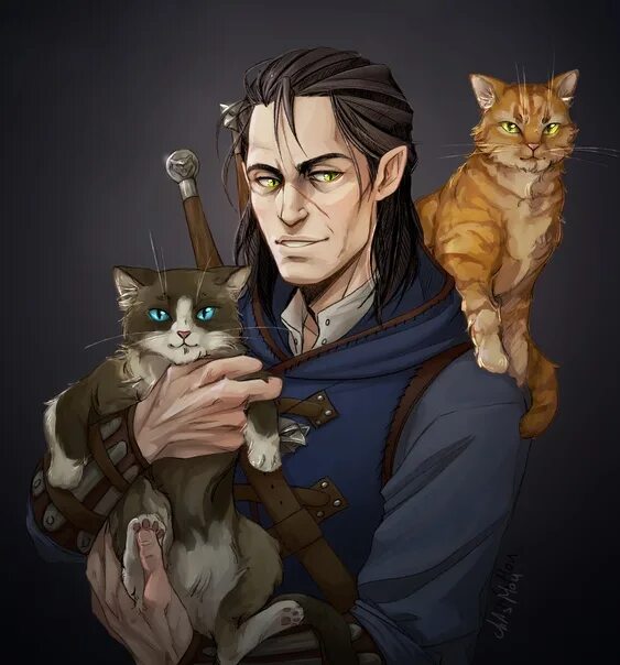 Witcher cat. Witcher cat. Кот ведьмак арт. Геральт кот арт. Коты ведьмак.