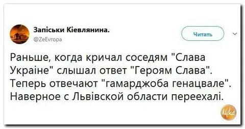Генацвале на грузинском перевод