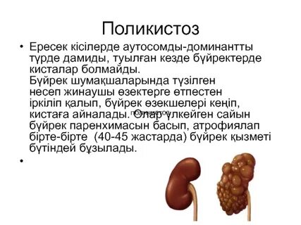 Почки печень питание