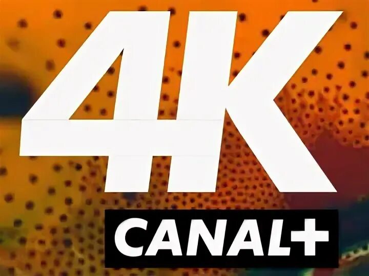 Canal 4