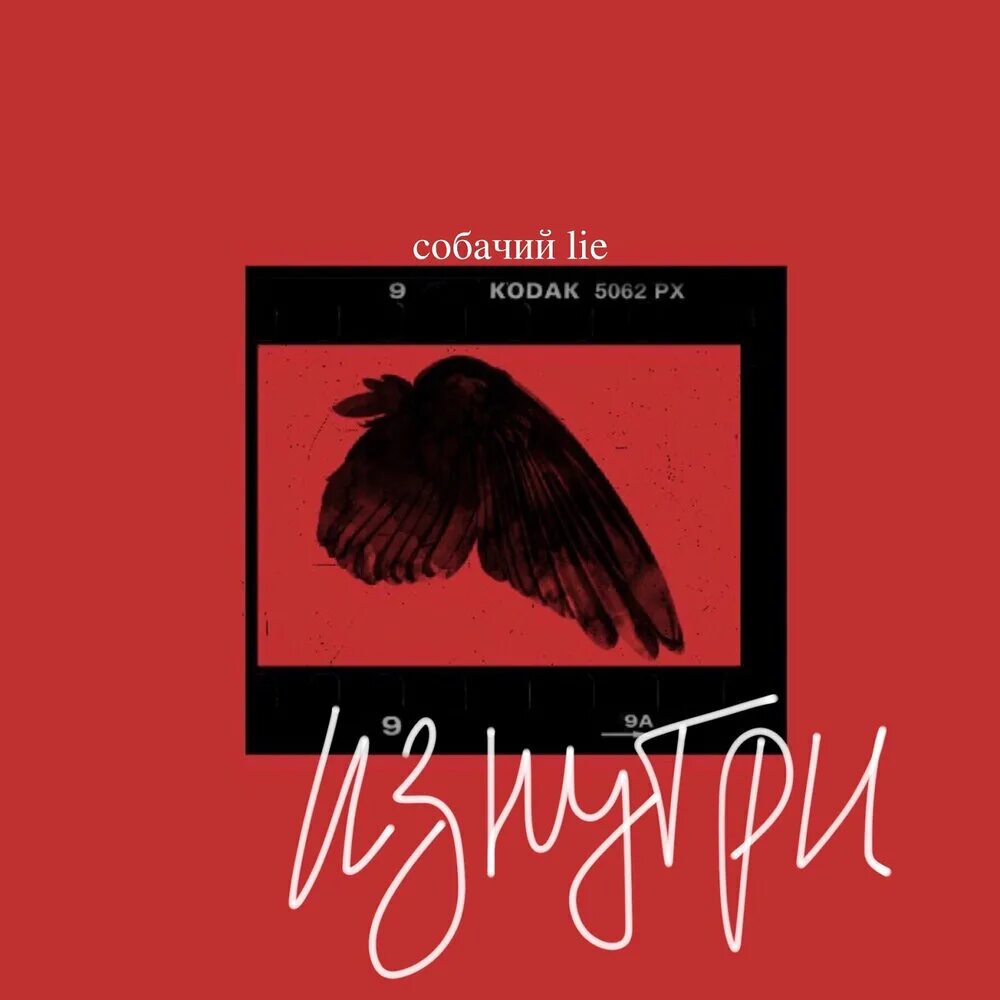 Собачий lie. Собачий lie группа. собачий lie миллениал. алексей карушин собачий lie.