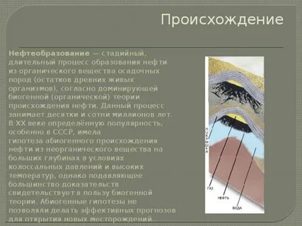 Как образуется нефть