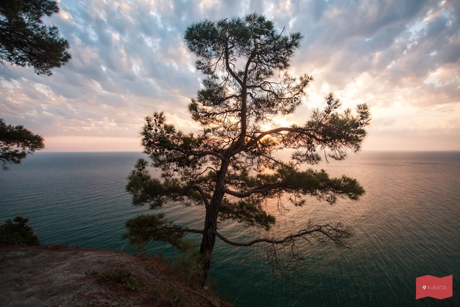 сосновый рай кисловодск. архипо-осиповка кемпинг. сосновый рай архипо-осиповка. автокемпинг енот архипо-осиповка. автокемпинг сосновый рай архипо-осиповка.