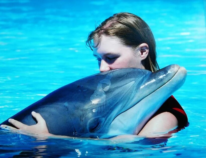 Есть ли дельфин людей. Человек Дельфин. Дельфины и люди. Плавать с дельфинами. Дельфины дружелюбные.