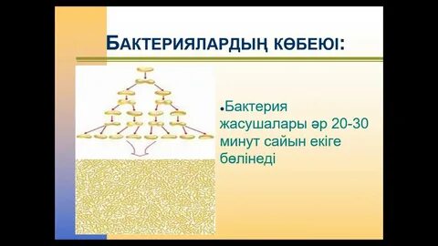 Анастасия Кумейко порно фото