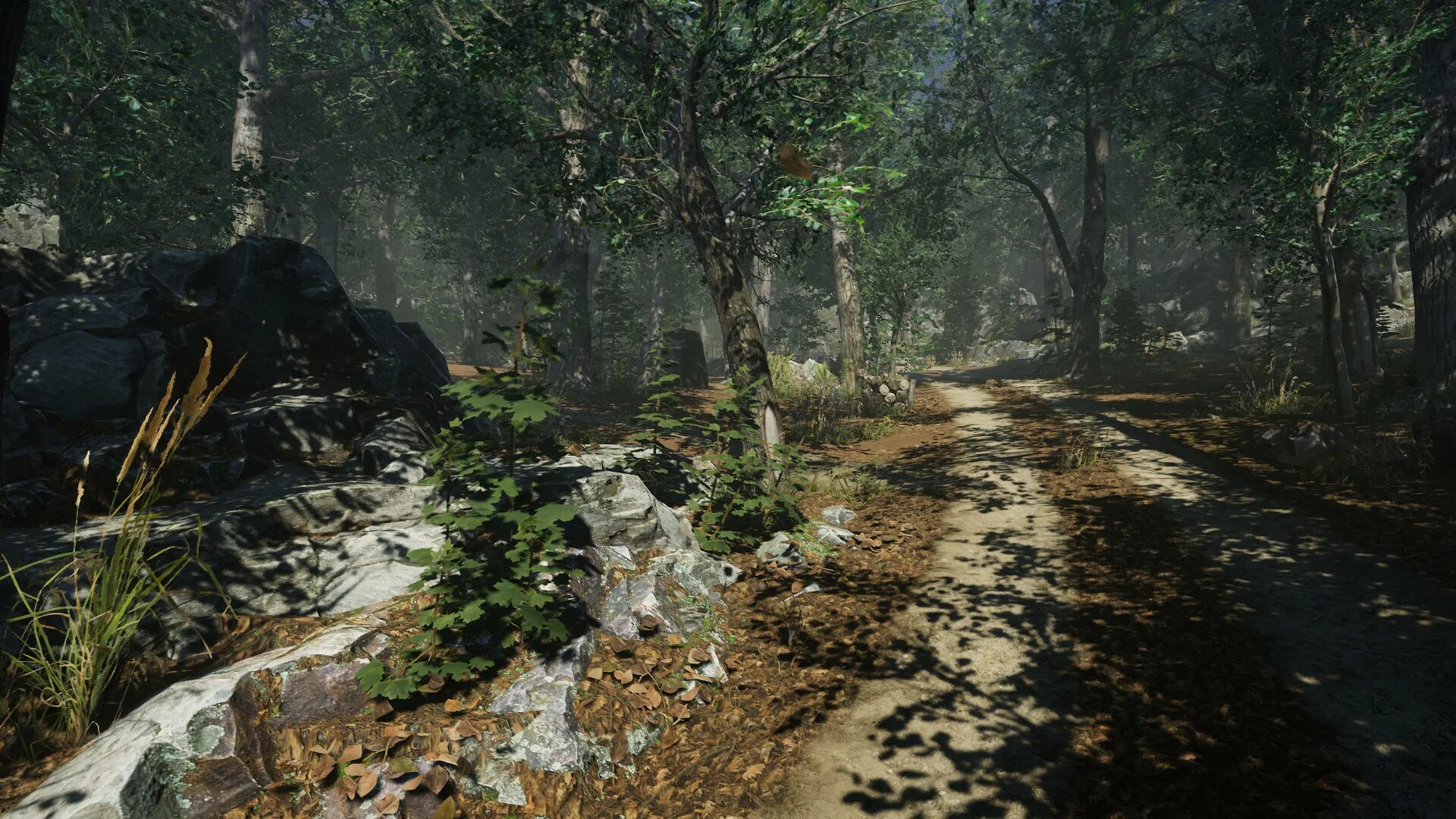 Dynamic forest. Forest environment dynamic. natural environment. forest environmental. unity asset real landscapes - valley forest.