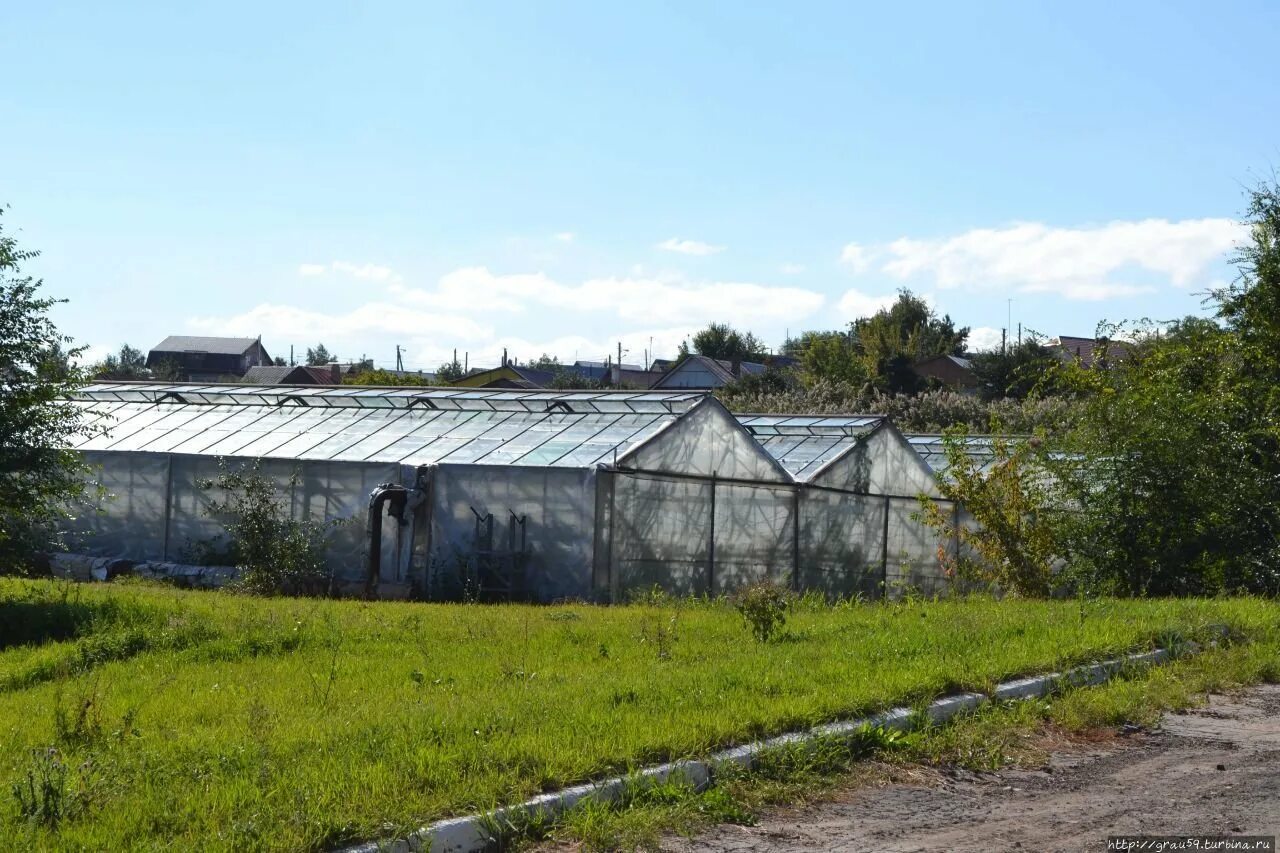 Агротуристический парк Корольков сад Саратов. Агроцентр Корольков сад. Агроцентр Саратов Корольков сад. Корольков сад Саратов прогулка.