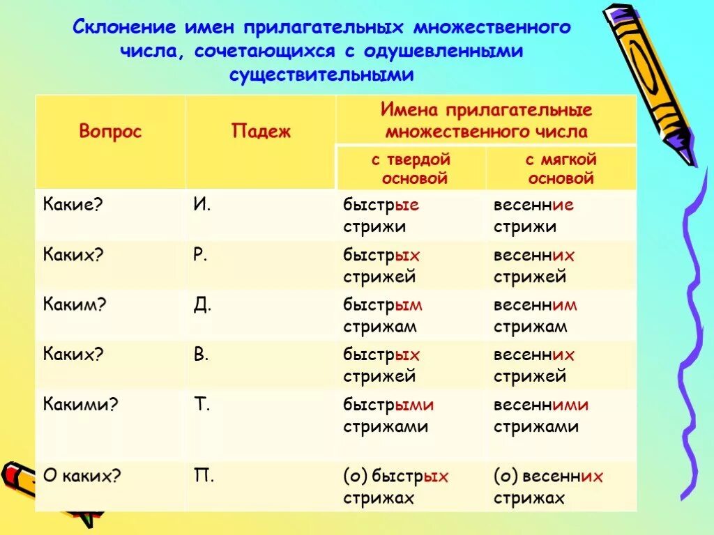Доньев множественное число падеж