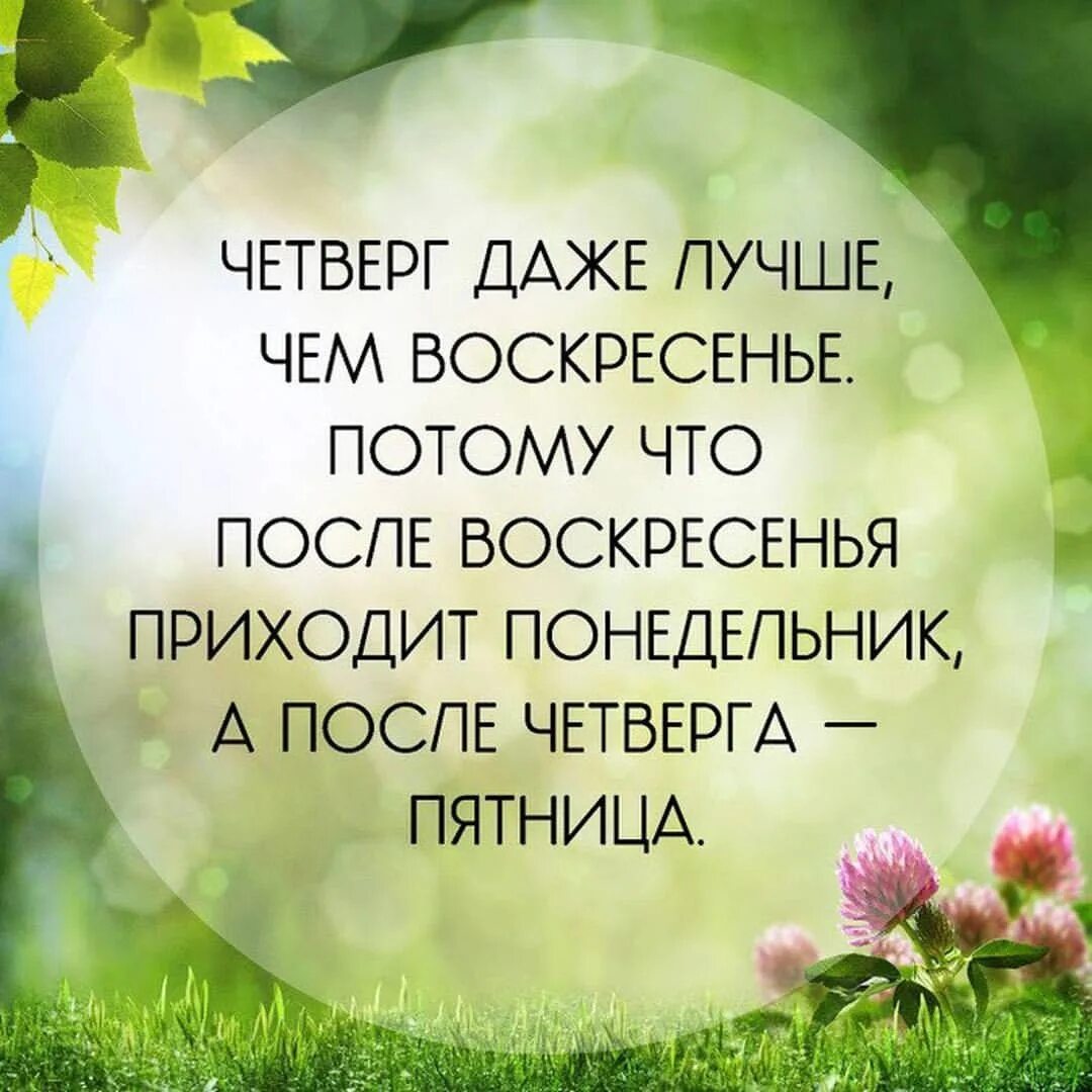 Цитаты пожелания доброго дня. Доброе утро четверга. пожелания с добрым утром четверг. хорошего четверга. четверг доброе утро и хорошего дня.