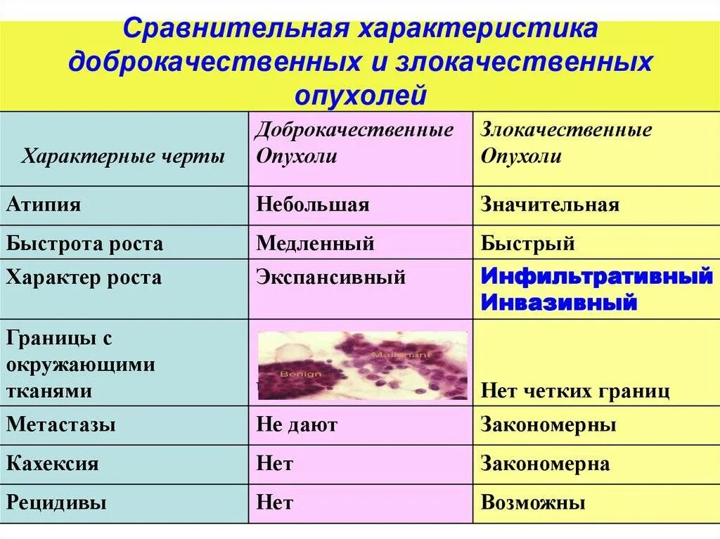 Признаки характерные для доброкачественных опухолей. Характерные симптомы доброкачественной опухоли. Доброкачественные и злокачественные опухоли таблица. Доброкачественные и злокачественные опухоли. Доброкачественное и злокачественное образование