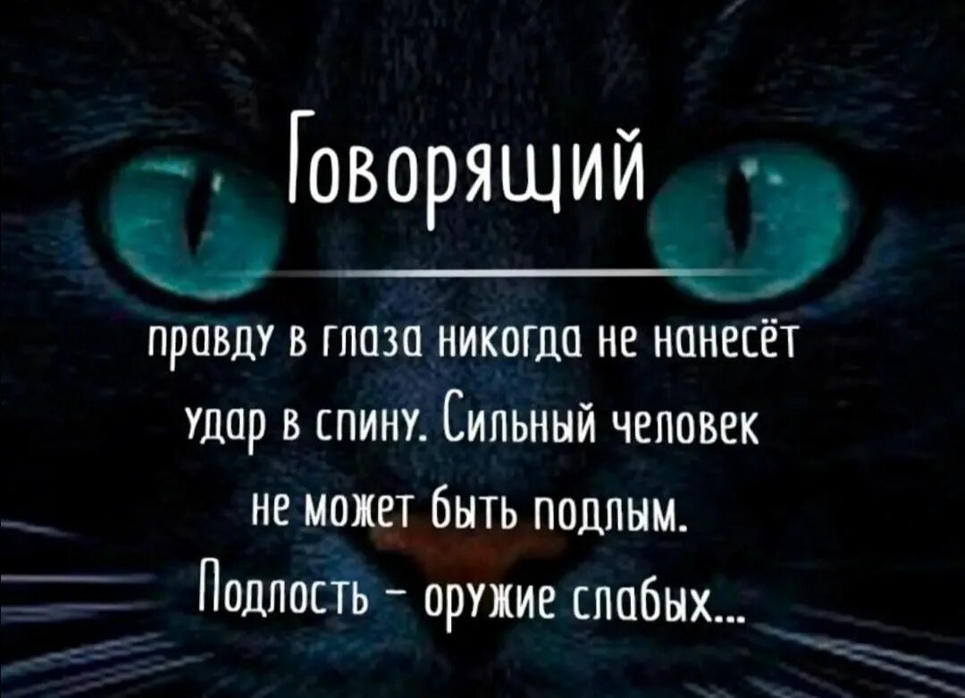 Говорящий правду в глаза никогда не нанесет удар в спину. Говорящий правду в глаза. Подлость оружие слабых. Говорящий правду в глаза никогда.