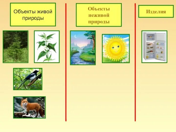 Укажи объект живой природы. Объекты живой природы. Объекты неживой природы. Назови предметы живой природы. Название объекта живой природы.