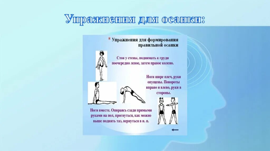 Хорошая осанка нужна чтобы 3 класс. Хорошая осанка нужна чтобы 3 класс
