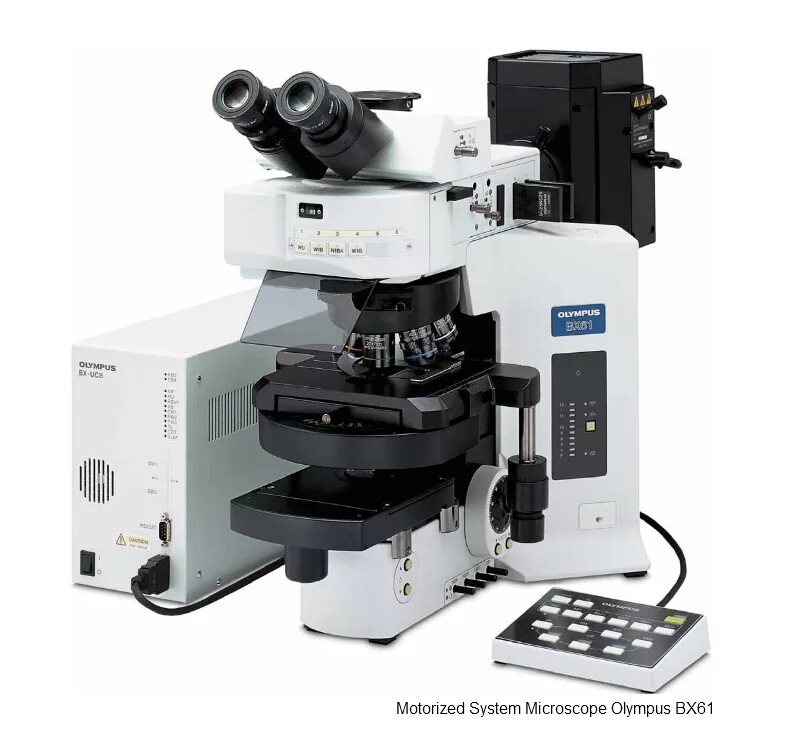 Microscope carl zeiss axio lab. Инвертированного металлографического микроскопа carl zeiss axio observer. Исследовательский микроскоп. Микроскоп альтами био 7 трино. Оптический микроскоп олимпус.