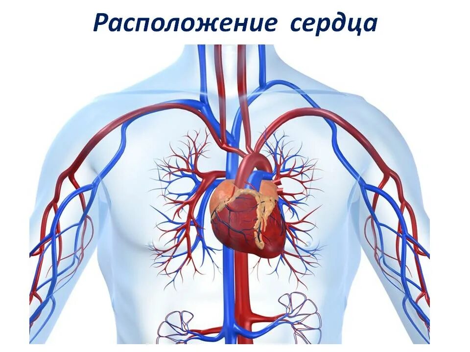 Западает в сердце