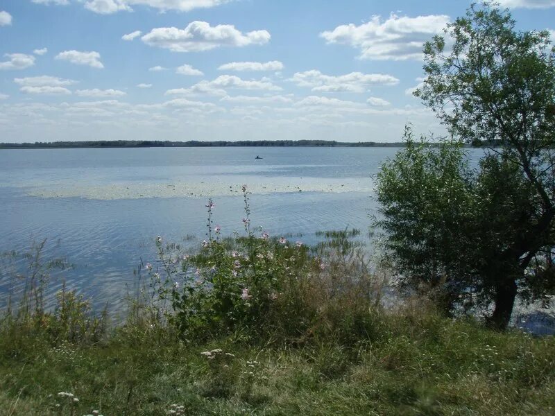 Озеро Уткуль село Вершинино. Озеро Вершинино Алтайский край. Озеро Уткуль Алтайского края. Озеро Уткуль Алтайского края Троицкого района. Погода в вершинино алтайский край