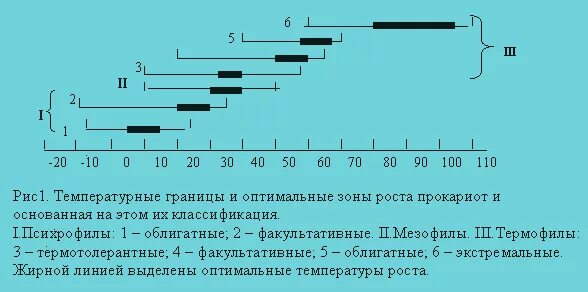 Бактерии гибнут при температуре. При какой температуре погибают бактерии. температура гибели вирусов и бактерий. при какой температуре погибают вирусы и бактерии. при какой температуре гибнут бактерии в воде.