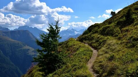 Mount path
