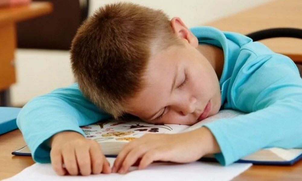 Работоспособность детей. Ленивый школьник. Уставший ученик. Почему ребенок устает