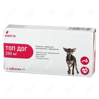 Топ дог казань 13 апреля