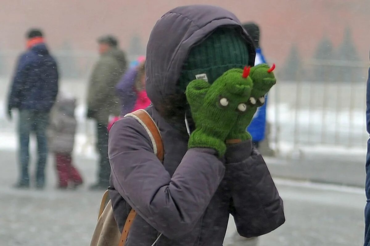 Все живое накрыло морозом. До -30 градусов Мороза. Оранжевый уровень опасности в Москве. Холода. Мороз -71.