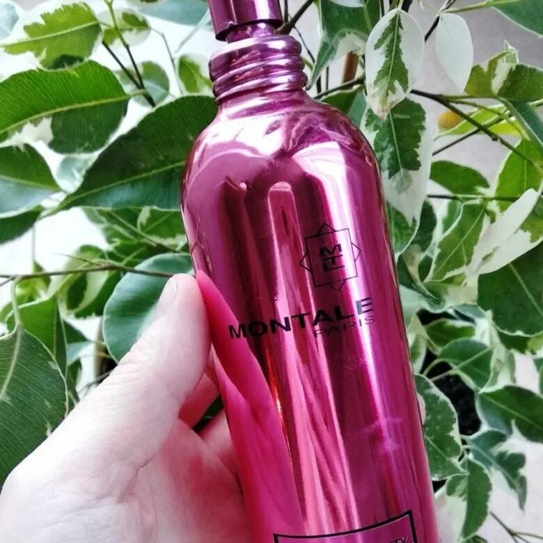 Fruity montale. Претти фрутти. Монтале Прити. Монталь Претти фрутти фото. Montale pretty Fruity описание.