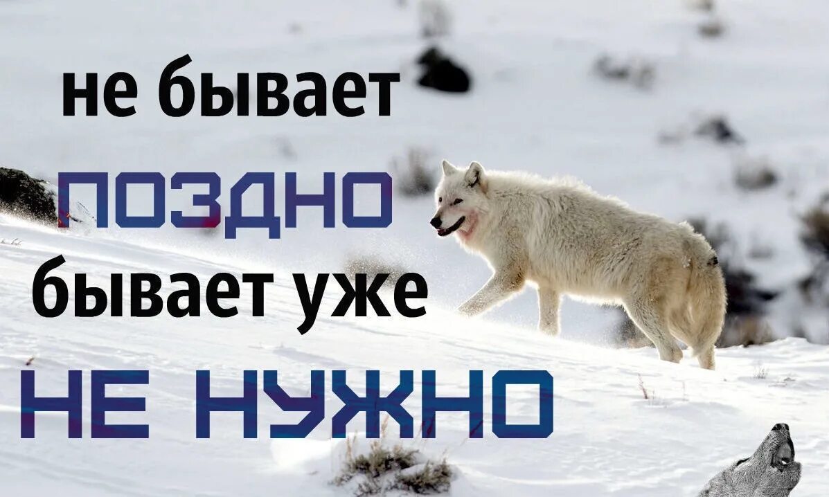Никогда не бывает поздно содержание. Никогда не бывает поздно бывает уже не надо. не бывает поздно бывает уже. не бывает поздно бывает уже не надо цитаты. не бывает поздно бывает уже не надо стихи.