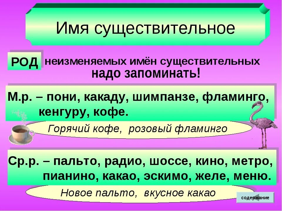 Карточка неизменяемые слова 4 класс. Род Фламинго в русском языке. Род имен существительных запомнить. Род неизменяемых существительных. Существительное какого рода.