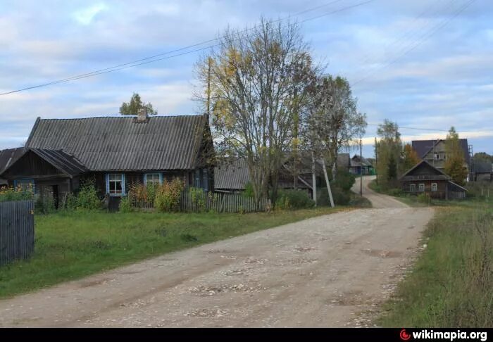 Новгородская область поселок хвойнинское. Поселок Анциферово Хвойнинский район. Деревня Яковлево Хвойнинский район Новгородская. Хвойнинский район Новгородская область. Анциферово Новгородская область Хвойнинский район.