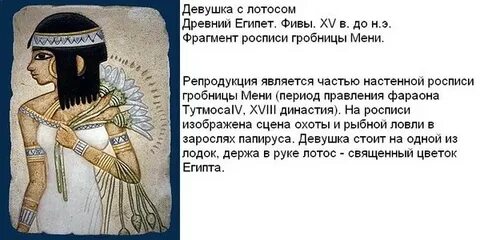Значение цветов в египте