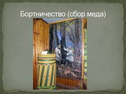 Бортничество в жизни средневековой руси