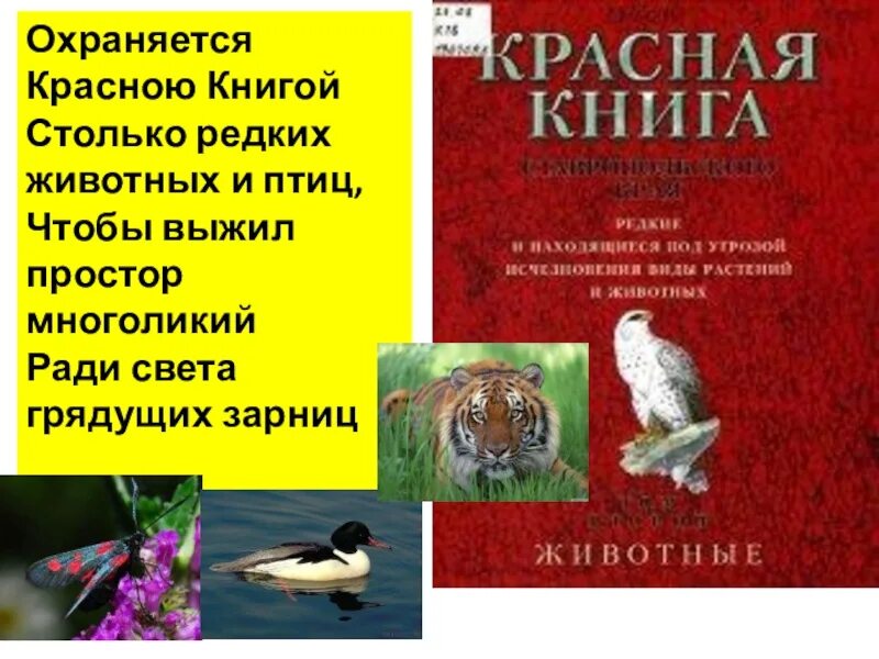 Книги похожие на красную книгу. Красная книга. Международная красная книга животных. Красная книга России. Красная книга России животных.