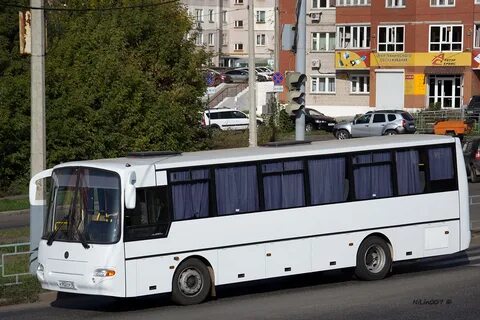 Кавз 4238 41