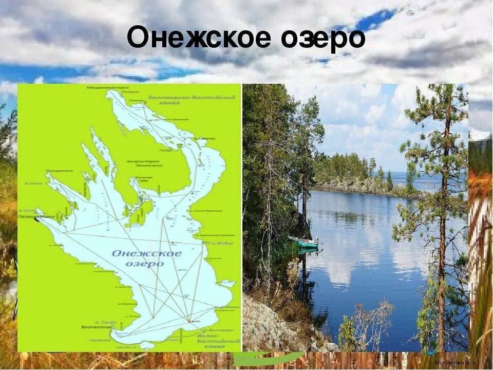 Ладожское и Онежское озеро. Онежское озеро на карте. Онежское озеро на карте России. Где находится Онежское озеро. Свирь онежское озеро