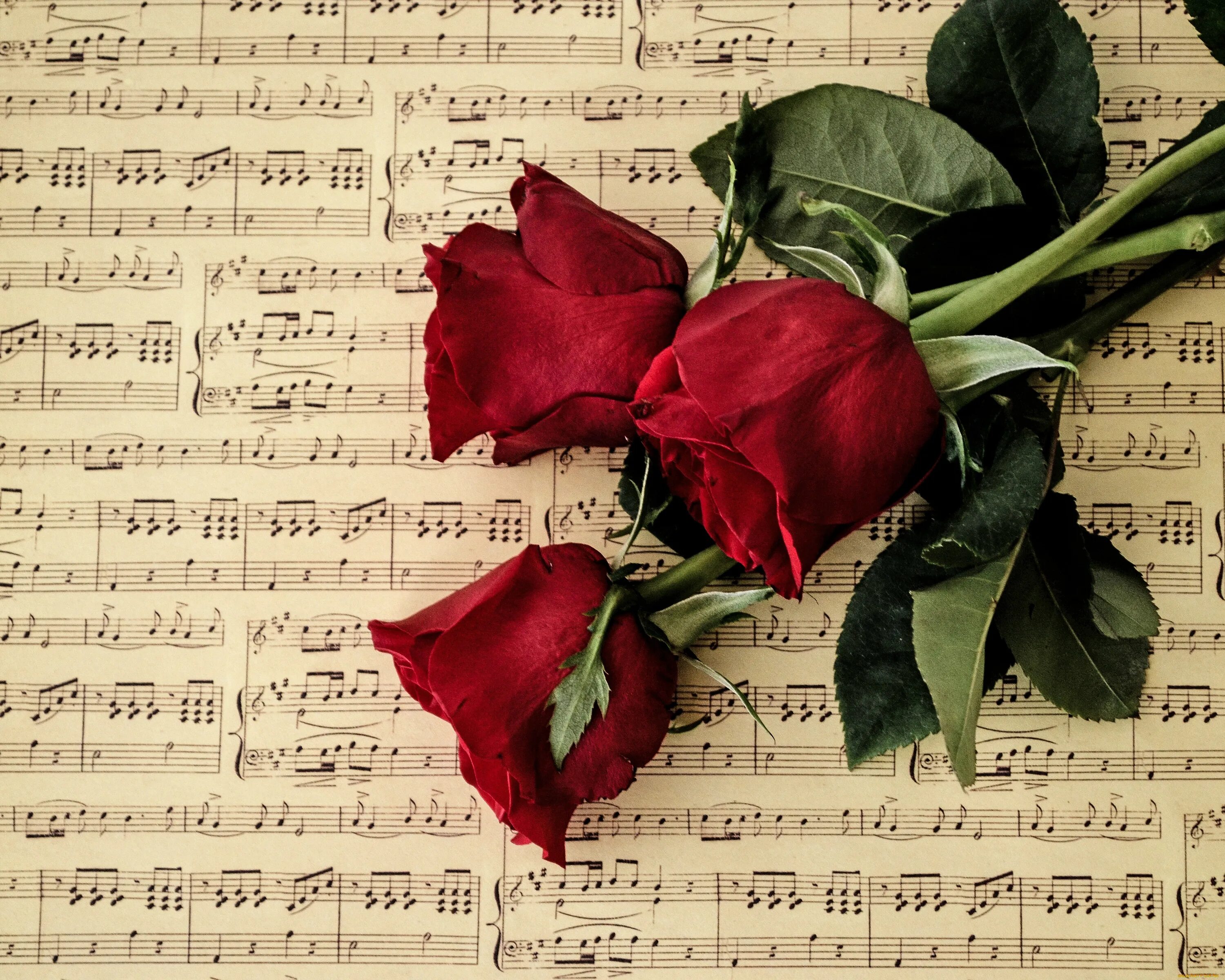 Цветы для музыканта. Ноты и цветы. Букет цветов и нотки. Розы и Ноты. Слушать красивую музыку о любви