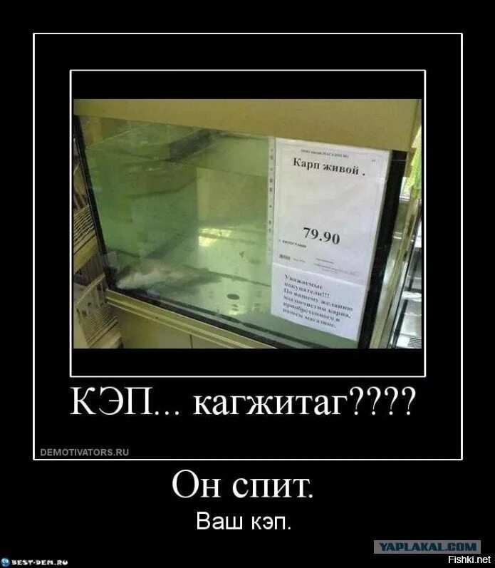 Кэп что это. Капитан очевидность. кэп демотиваторы. капитан очевидность приколы. смешные демотиваторы кэп.