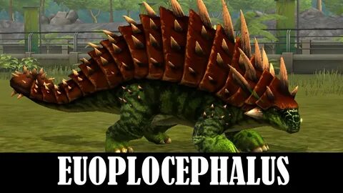 Высший уровень 40