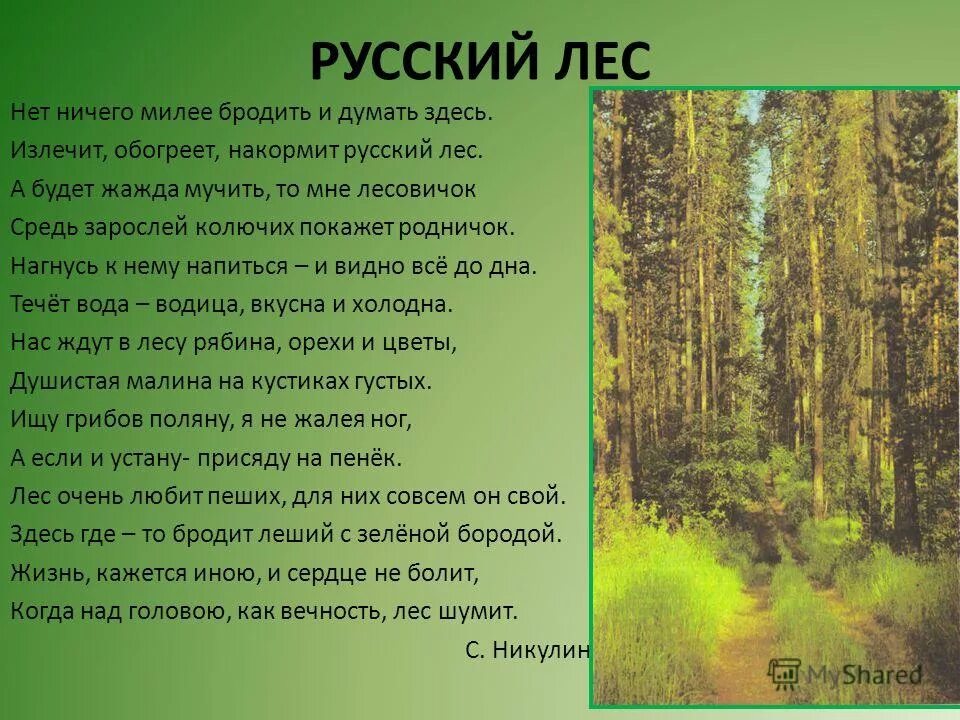 Составить предложение лесная чаща. Описание леса. Стихотворение русский Лис. Рассказ о лесе. Описание леса красивое.