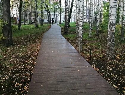 В ногинском парке