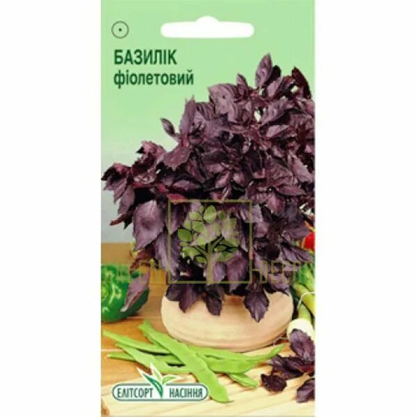 Базилик фиолетовый семена. Базилик фиолетовый 0,2г. Семена базилик "фиолетовый" 0,2г 16110. Базилик фиолетовый семена. Семена базилик фиолетовый 3г.