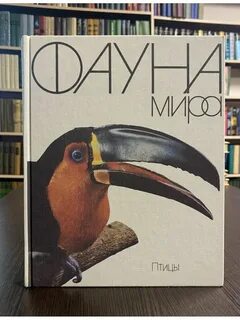 Книга мир птиц