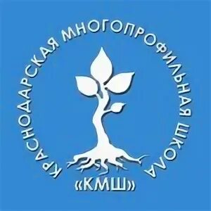 Многопрофильная школа 181. Ценности многопрофильной школы фото. Школы стратегий. Краснодарская многопрофильная школа. Гимназия лидер краснодар.