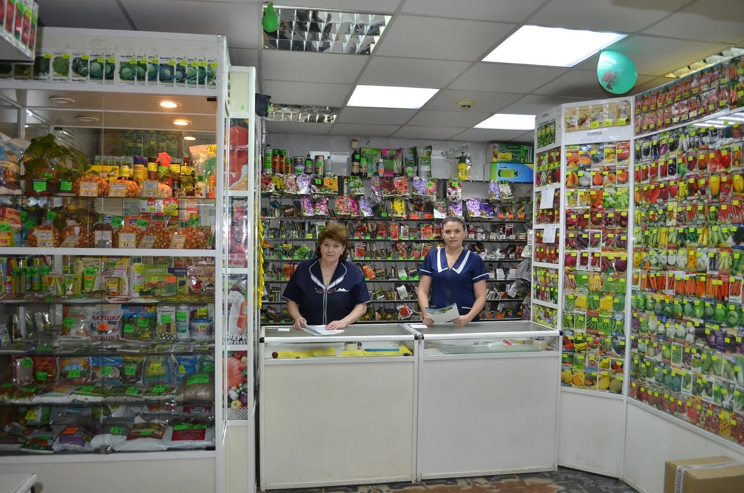 выкладка семян в магазине. магазин семян. магазины семян в чехове. магазин семян в москве. магазин семена товары.