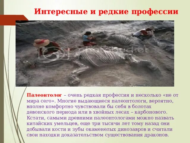 Сколько зарабатывают палеонтологи