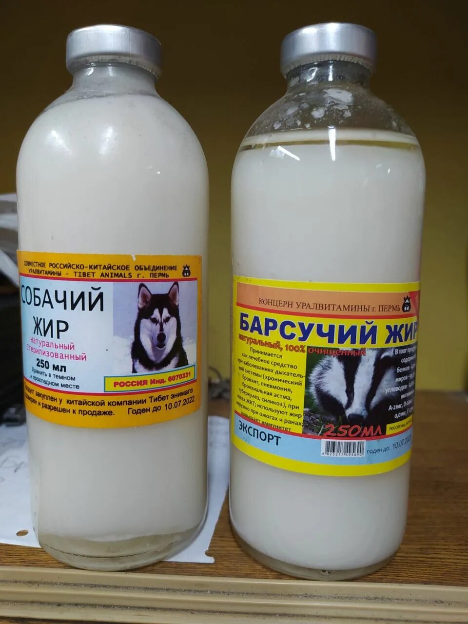 Как принимать собачий жир. Барсучий и собачий жир. собачий жир. собачий жир аптечный. собачий жир грудничкам.