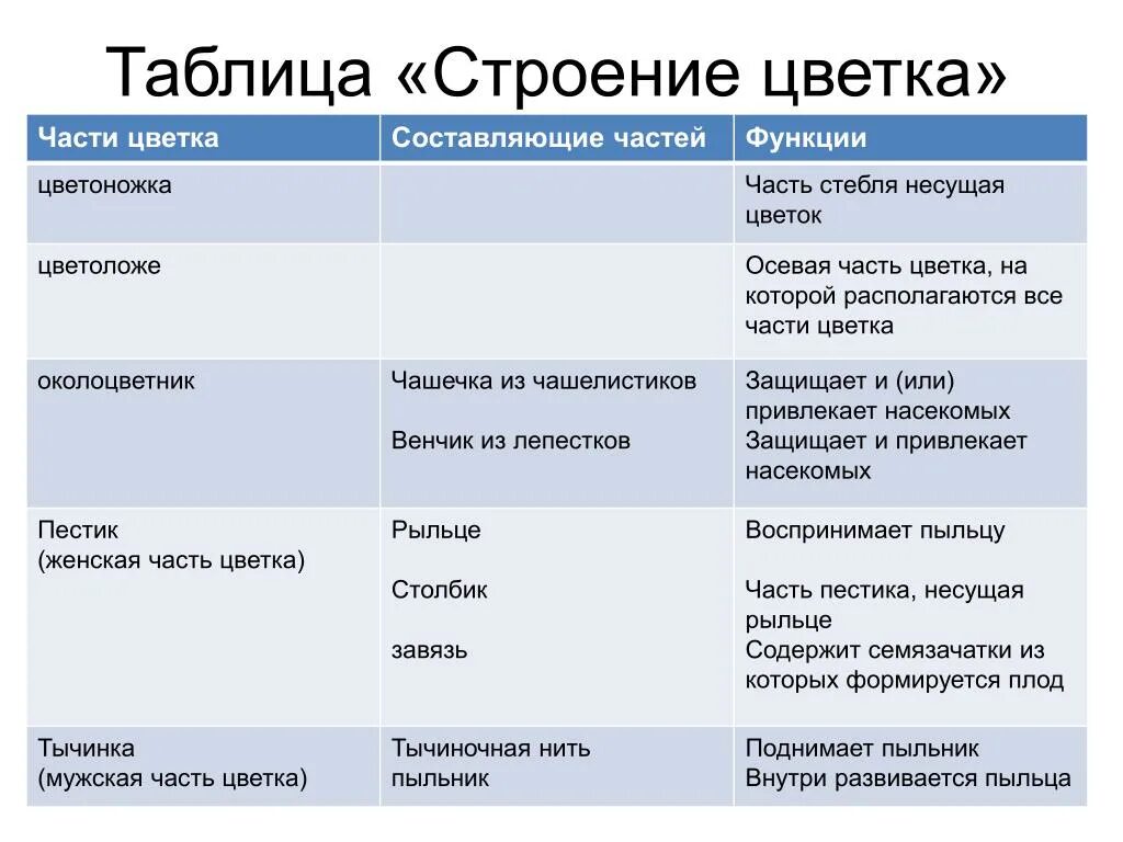 Биология 6 класс информация. Части цветка и их функции таблица. Части цветка и их функции 6 класс биология таблица. Таблица по биологии 6 класс части цветка и их функции. Таблица по биологии 6 класс название и функции частей цветка.