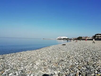 Куда на море адлер
