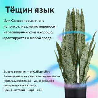 Требует ухода