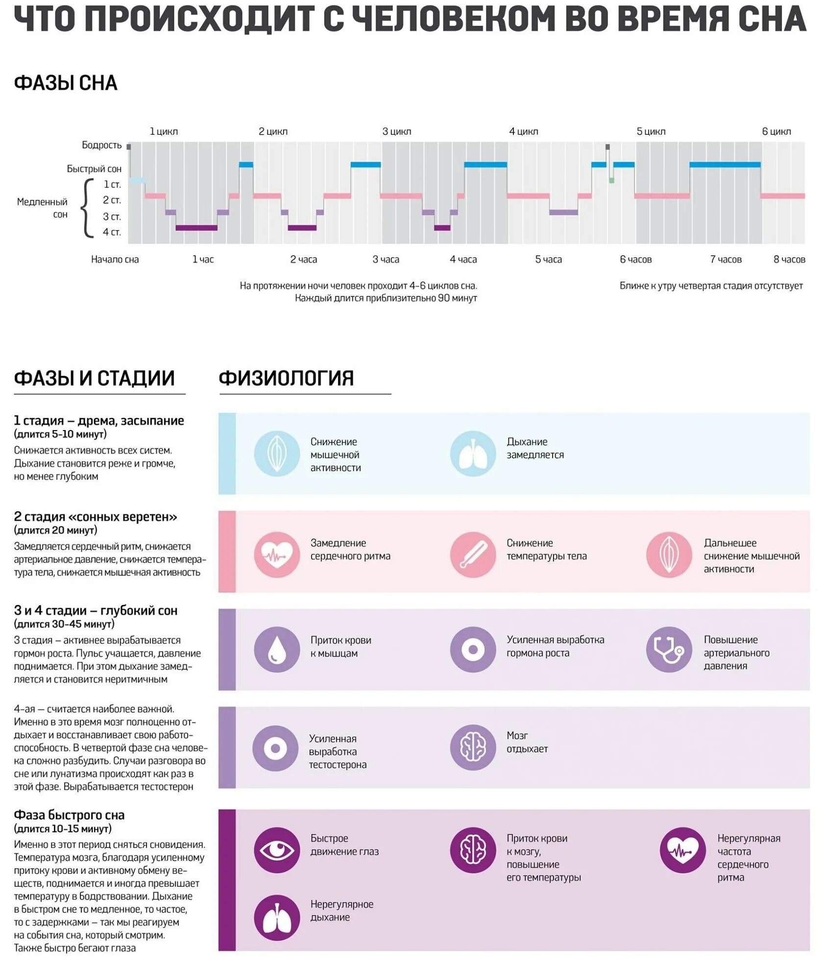 1 Фаза сна Длительность. Сколько по времени длятся фазы сна. Фазы быстрого и медленного сна таблица. Фаза глубокого сна по времени.